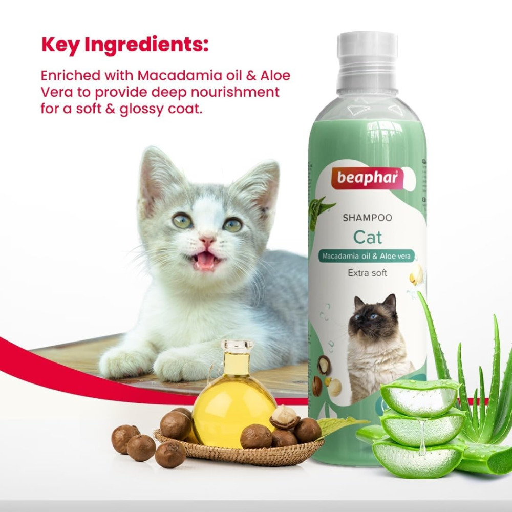 Beaphar Macadamia Oil & Aloe Vera Dryness & Itch Relief Shampoo for Cats