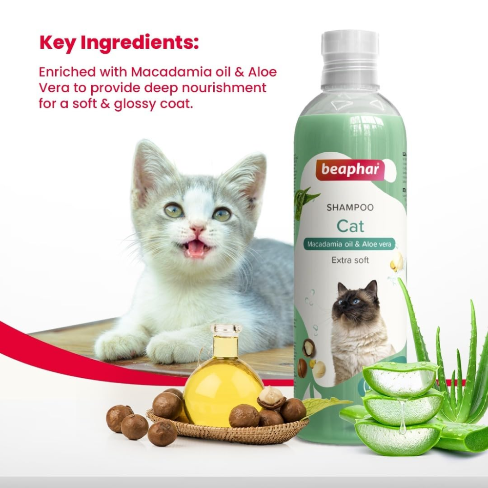 Beaphar Macadamia Oil & Aloe Vera Dryness & Itch Relief Shampoo for Cats Cats-Grooming Supplies Beaphar