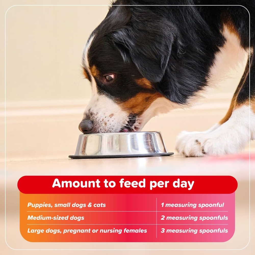 Beaphar Bone Builder Calcium Supplement for Dogs and Cats Both-Health & Wellness Beaphar