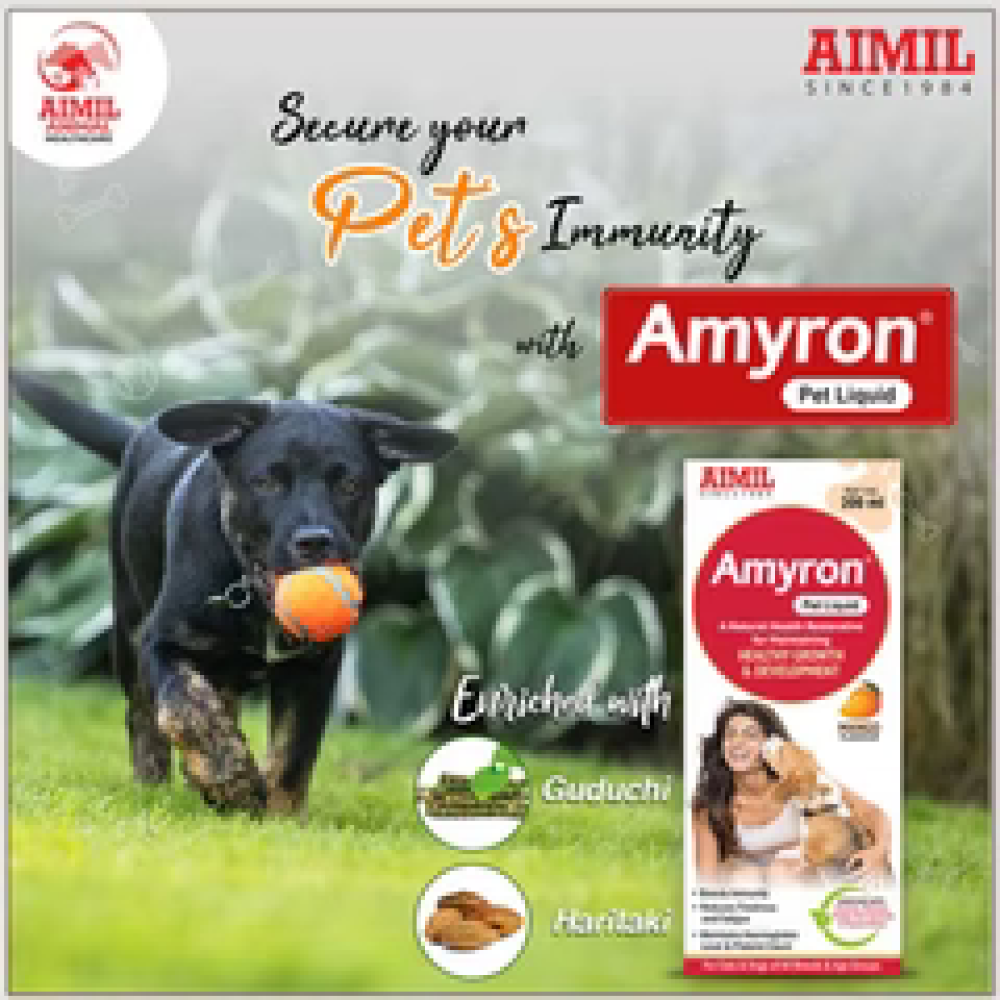 Aimil Amyron Liquid Supplement for Dogs and Cats Both-Health & Wellness Aimil