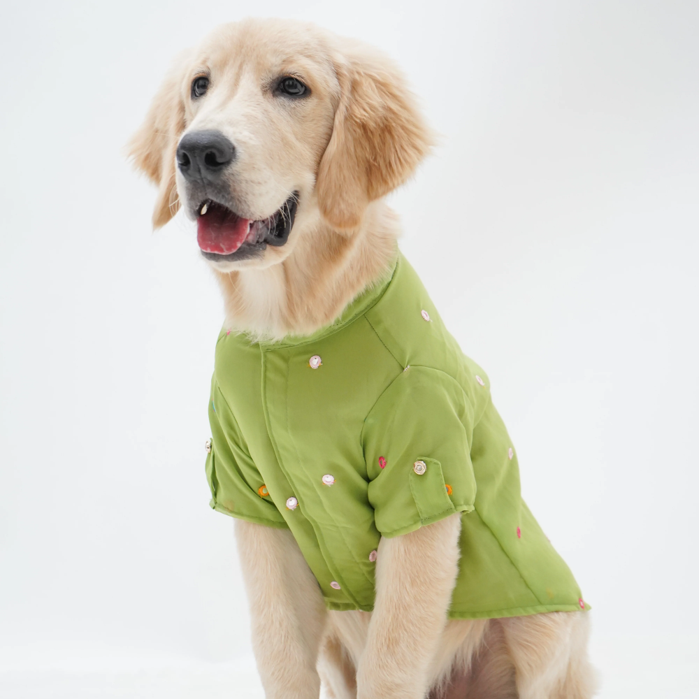 Pawgypets Festive Shirt for Dogs (Pista Green)