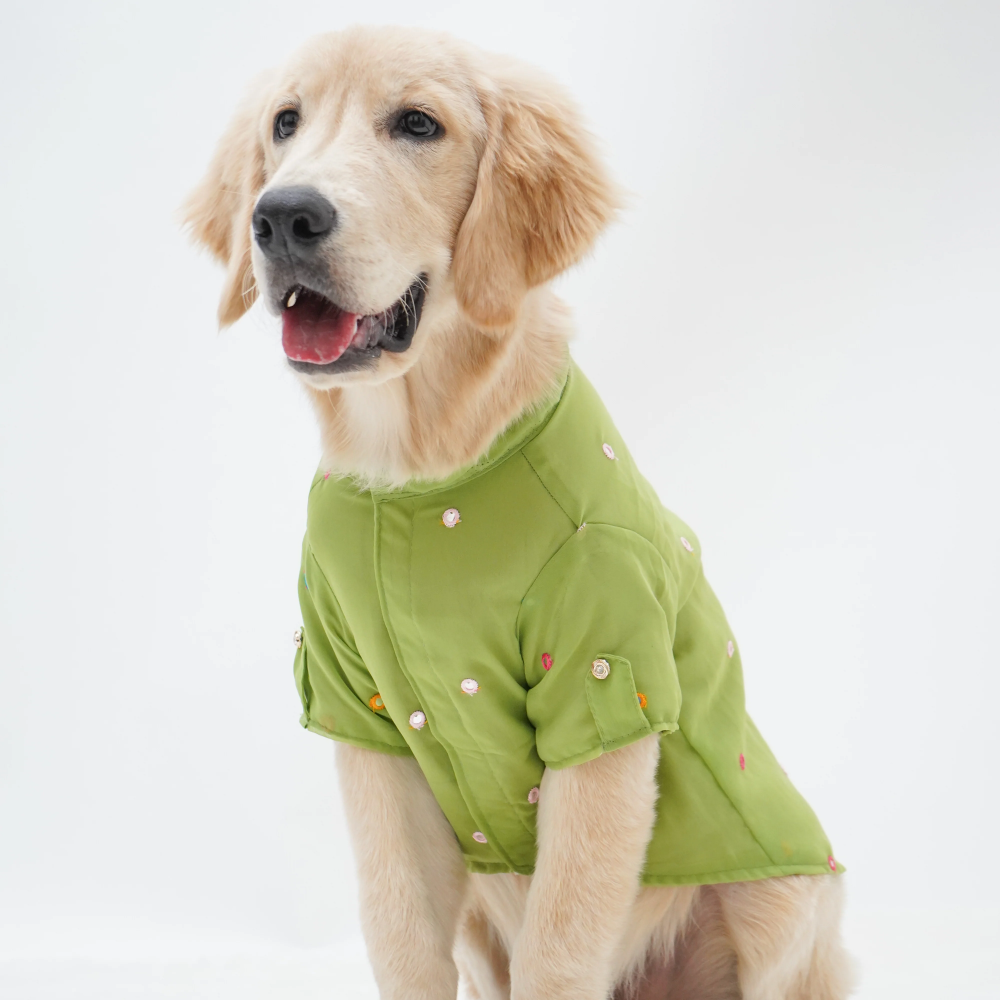 Pawgypets Festive Shirt for Dogs (Pista Green) Dogs-Clothing & Accessories Pawgypets Dropship 4XL