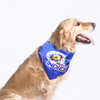 Pets Way Mumbai Indies IPL Bandana for Dogs and Cats (Blue) | Indian Pet League Both-Clothing & Accessories Pets Way Dropship M