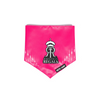 Pets Way Rajasthan Regals IPL Bandana for Dogs and Cats (Pink) | Indian Pet League Both-Clothing & Accessories Pets Way Dropship