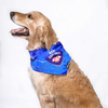 Pets Way Delhi Capi Tails IPL Bandana for Dogs and Cats (Blue) | Indian Pet League Both-Clothing & Accessories Pets Way Dropship M