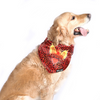 Pets Way Sunriders Hydrabad IPL Bandana for Dogs and Cats (Orange) | Indian Pet League Both-Clothing & Accessories Pets Way Dropship M