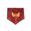 Pets Way Sunriders Hydrabad IPL Bandana for Dogs and Cats (Orange) | Indian Pet League Both-Clothing & Accessories Pets Way Dropship