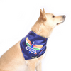 Pets Way Lucknow Super Guards IPL Bandana for Dogs and Cats (Blue) | Indian Pet League Both-Clothing & Accessories Pets Way Dropship M