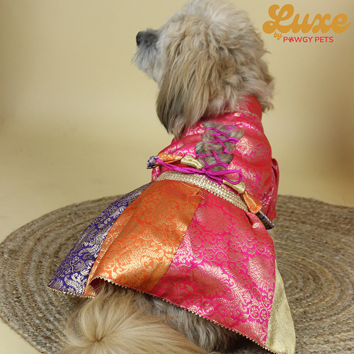 Pawgypets Luxe Brocade Colour Block Lehenga Dogs and Cats Both-Clothing & Accessories Pawgypets Luxe Dropship