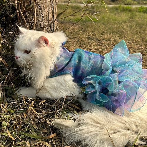Pawgypets Tie and Dye Frilly Dress for Cats (Blue) Cats-Clothing & Accessories Pawgypets Dropship XS