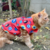 Pawgypets Nazar Na Lage Sando for Cats (Red) Cats-Clothing & Accessories Pawgypets Dropship