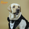 Pawgypets Luxe Shimmering Bowtie Tuxedo for Dogs and Cats (Black) Both-Clothing & Accessories Pawgypets Luxe Dropship