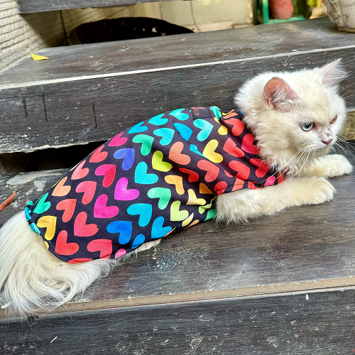 Pawgypets Multi Heart Sando for Cats (Multi Colour) Cats-Clothing & Accessories Pawgypets Dropship