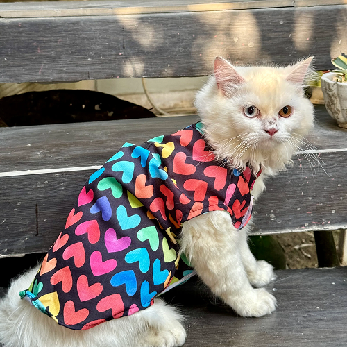 Pawgypets Multi Heart Sando for Cats (Multi Colour) Cats-Clothing & Accessories Pawgypets Dropship XXS