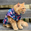 Pawgypets Flamingo Sando for Cats (Navy Blue) Cats-Clothing & Accessories Pawgypets Dropship