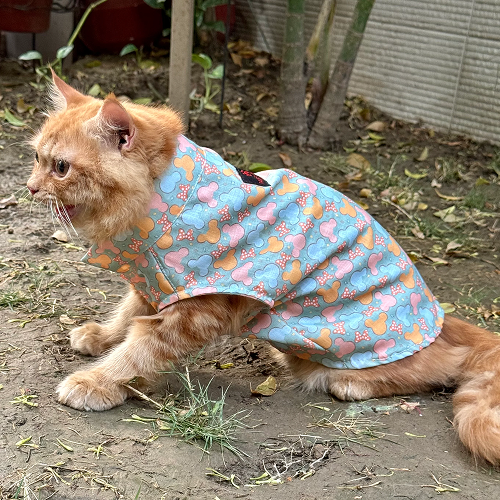 Pawgypets Mickey Overloaded Sando for Cats (Pastel Green) Cats-Clothing & Accessories Pawgypets Dropship