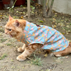 Pawgypets Mickey Overloaded Sando for Cats (Pastel Green)
