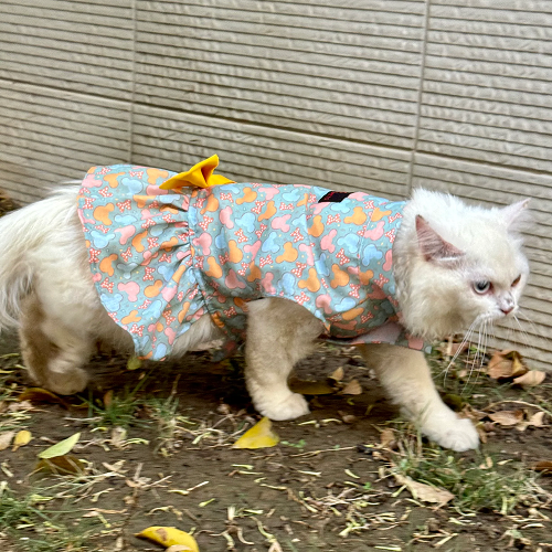 Pawgypets Mickey Overloaded Dress for Cats (Pastel Green) Cats-Clothing & Accessories Pawgypets Dropship