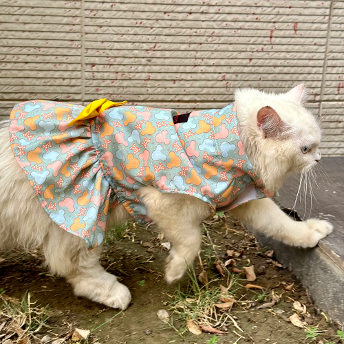 Pawgypets Mickey Overloaded Dress for Cats (Pastel Green) Cats-Clothing & Accessories Pawgypets Dropship S