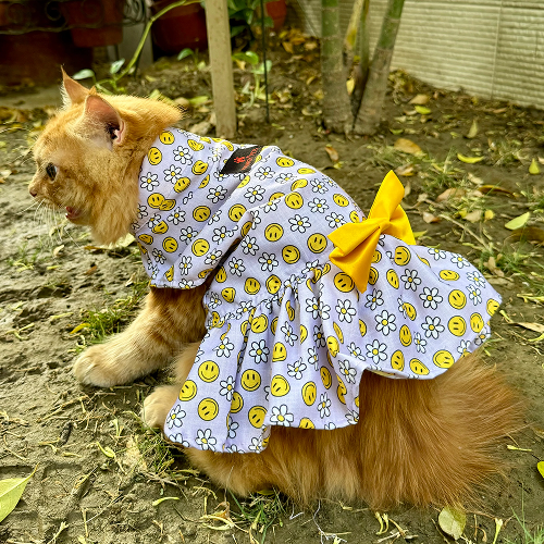 Pawgypets Smiley Daisy Dress for Cats (Lavender) Cats-Clothing & Accessories Pawgypets Dropship XXS