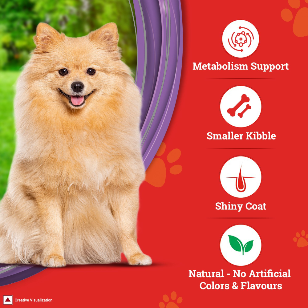 SuperCoat Chicken Adult Small Breed Dog Dry Food