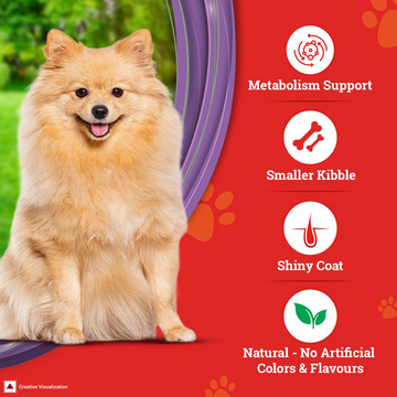 Purina SuperCoat Chicken Adult Small Breed Dog Dry Food