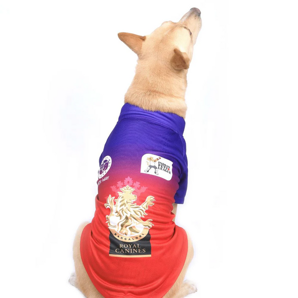 Pets Way Royal Canines Bangalore IPL Jersey for Dogs and Cats (Red/Blue)| Indian Pet League