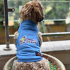 Mumbai Pawdians ipl Jersey for Dogs and Cats | Indian Pet League Dogs-Clothing & Accessories Pawgypets Dropship