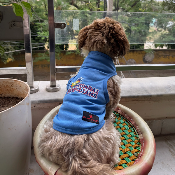 Mumbai Pawdians ipl Jersey for Dogs and Cats | Indian Pet League