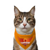 Ruse IPL Funrisers Hyderabad Printed Bandana for Cats (Orange) | Indian Pet League Cats-Clothing & Accessories ruse Dropship S