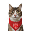 Ruse IPL Punjab Clings Printed Bandana for Cats (Red) | Indian Pet League Cats-Clothing & Accessories ruse Dropship S