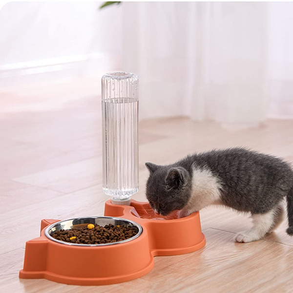 Pet Vogue Slow Feeder No Spill Drinking Water Bowl for Dogs and Cats (Orange)