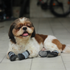 Pawgypets Walkies Everyday Shoe for Dogs (Black, Set of 4) Dogs-Clothing & Accessories Pawgypets Dropship