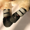 Pawgypets Walkies Everyday Shoe for Dogs (Black, Set of 4) Dogs-Clothing & Accessories Pawgypets Dropship