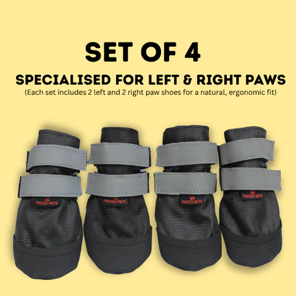 Pawgypets Walkies Everyday Shoe for Dogs (Black, Set of 4)