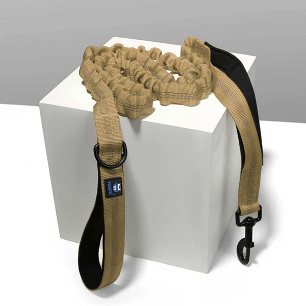 Hank Camo Bungee Leash for Dogs (Brown)