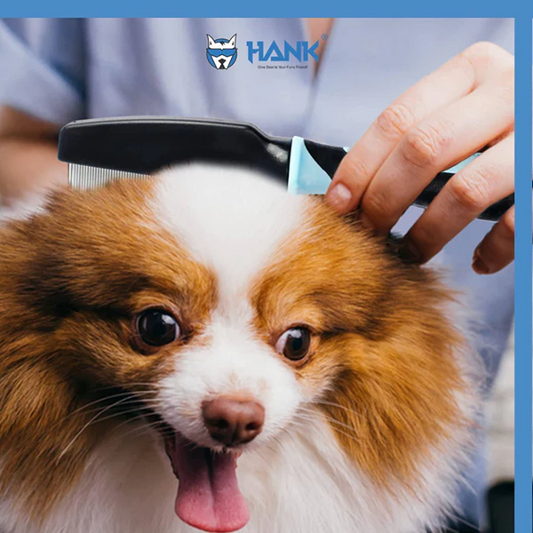 Hank Flea Comb for Pets (Blue)