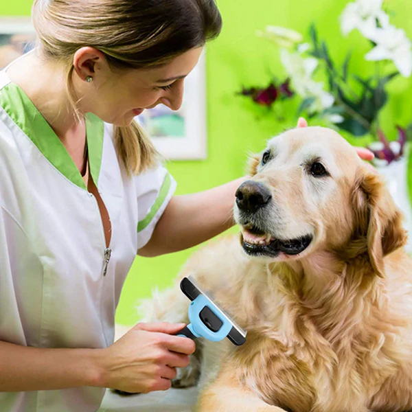 Hank Grooming Brush shedding for Pets (Blue)