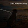 Hank Leash Design for Heavy Puller Dogs (Red) Dogs-Collar, Leashes, harnesses Hank