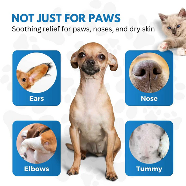 Hank Paw Cream for Dogs and Cats