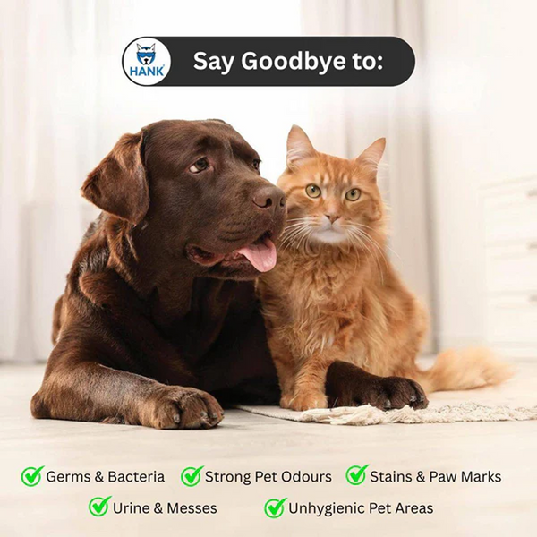 Hank Orange Pet Friendly Floor Cleaner Kennel Wash Floor Cleaner For Dog