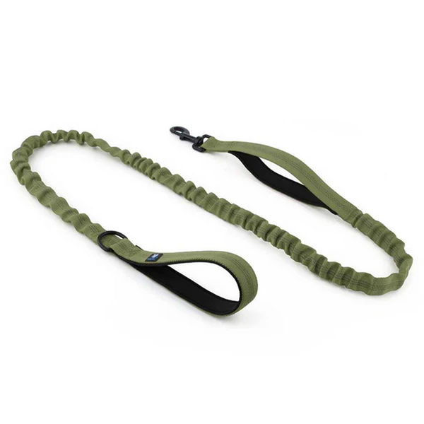 Hank Tactical Bungee Leash for Dogs (Green)