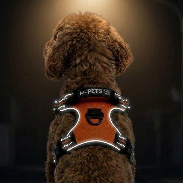 M Pets Water Resistant 3buckle Hiking Harness for Dogs (Orange)