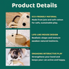 BearHugs Teaser Wand Toy with Mouse Toy for Cats