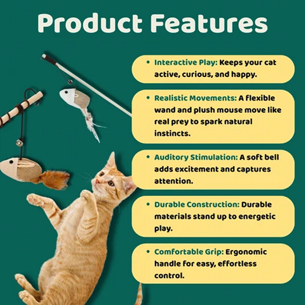 BearHugs Teaser Wand Toy with Mouse Toy for Cats