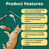 BearHugs Teaser Wand Toy with Mouse Toy for Cats