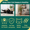BearHugs Teaser Wand Toy with Mouse Toy for Cats