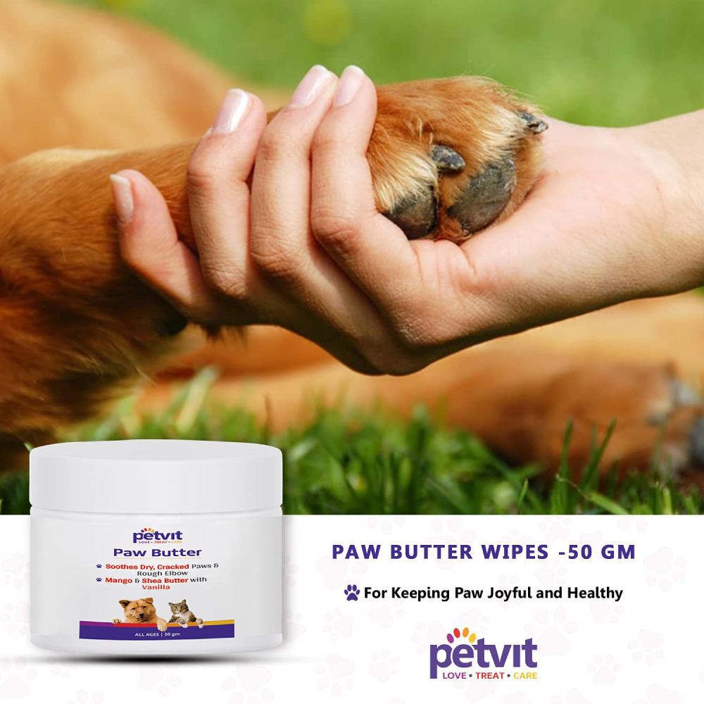 Buy Petvit Mango Shea Butter Lemon Grass Oil Paw Butter for Dogs