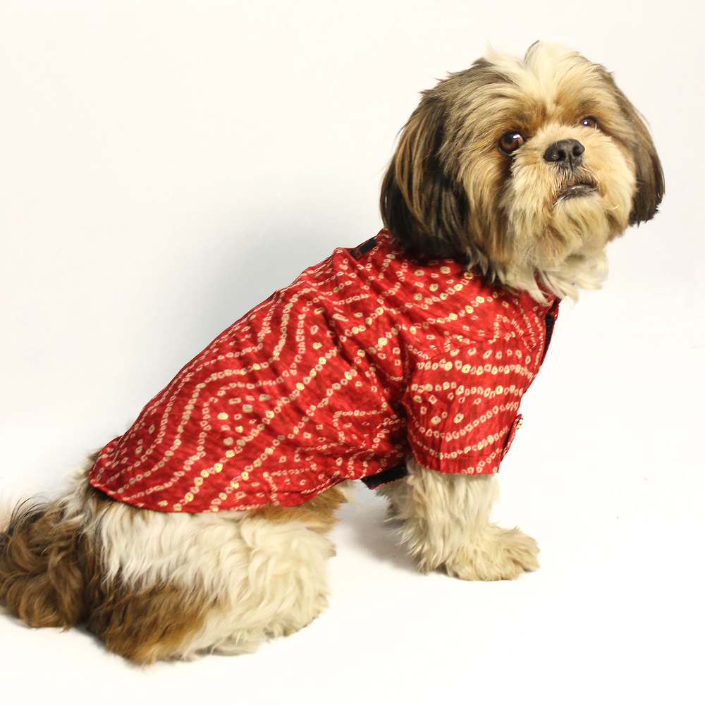 Pawgypets Bandani Kurta for Dogs (Red) Dogs-Clothing & Accessories Pawgypets Dropship