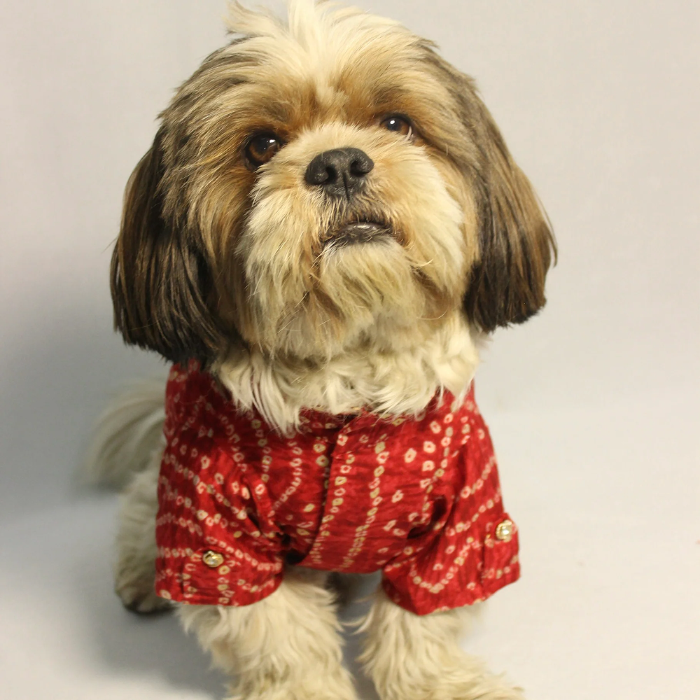 Pawgypets Bandani Kurta for Dogs (Red) Dogs-Clothing & Accessories Pawgypets Dropship